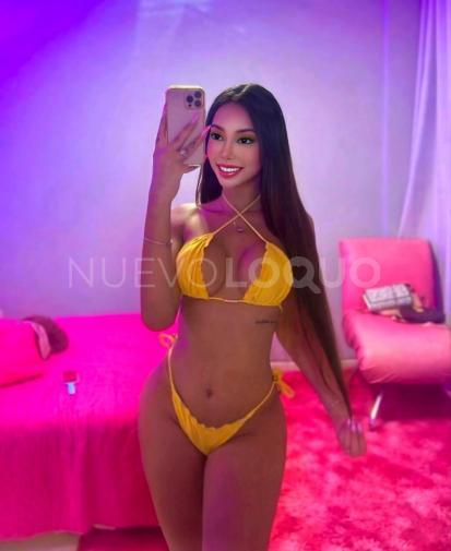 NuevoLoquo1