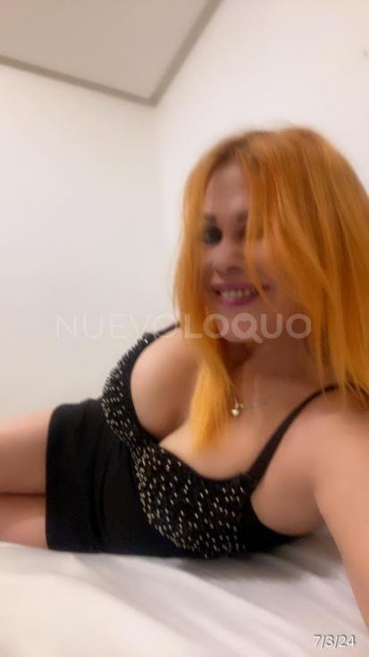 NuevoLoquo3