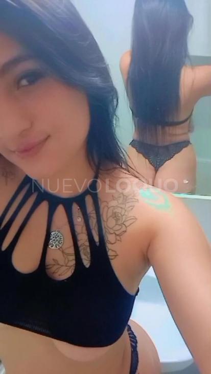 NuevoLoquo3