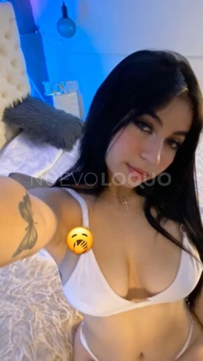 NuevoLoquo3
