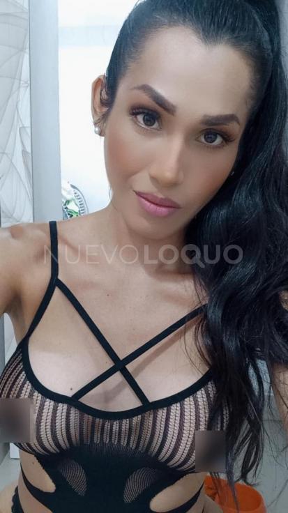 NuevoLoquo3