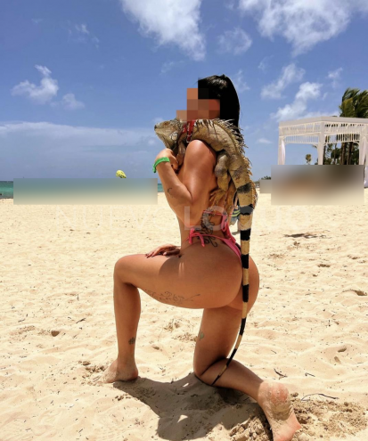 NuevoLoquo5