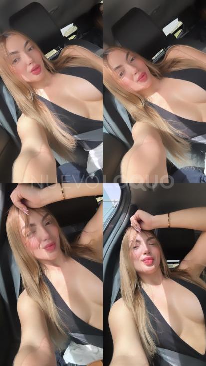 NuevoLoquo4