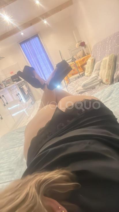 NuevoLoquo2