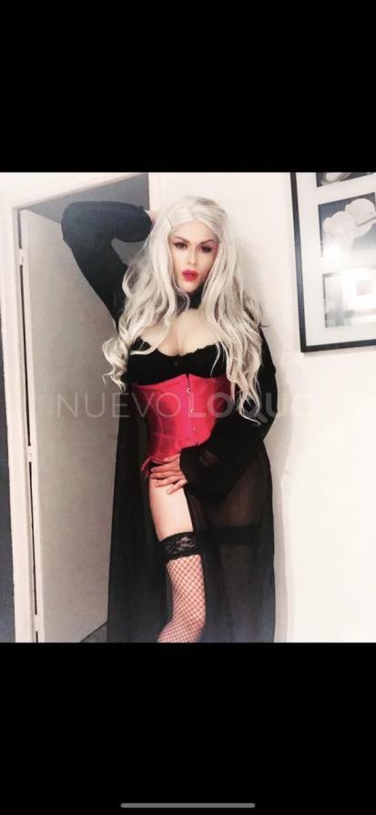 NuevoLoquo1
