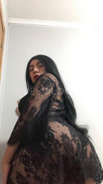 NuevoLoquo4