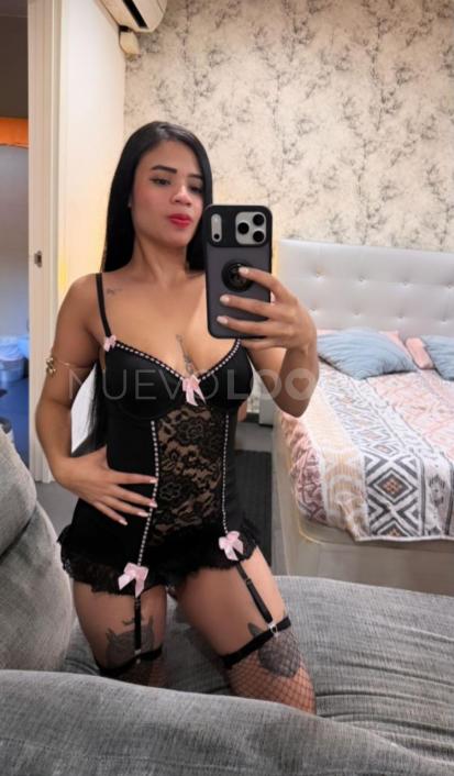 NuevoLoquo2