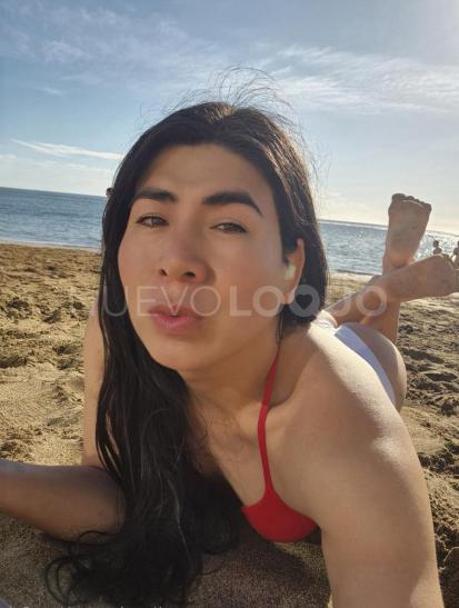 NuevoLoquo5