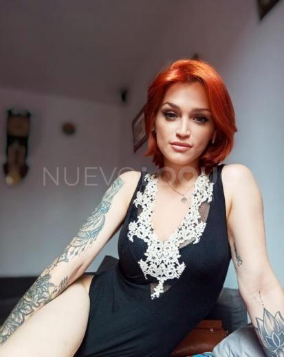 NuevoLoquo2