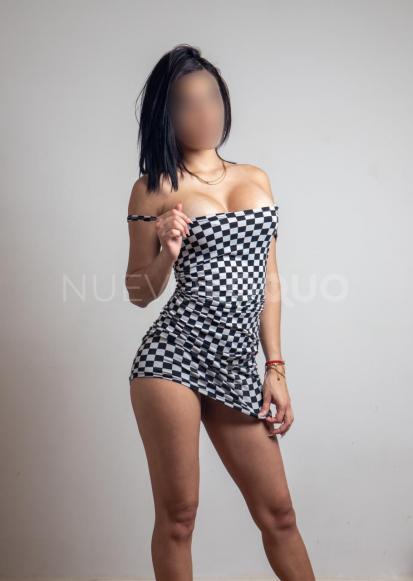 NuevoLoquo3