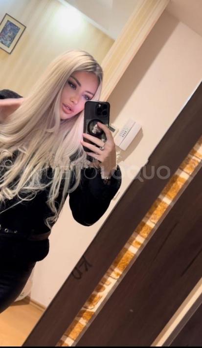 NuevoLoquo2