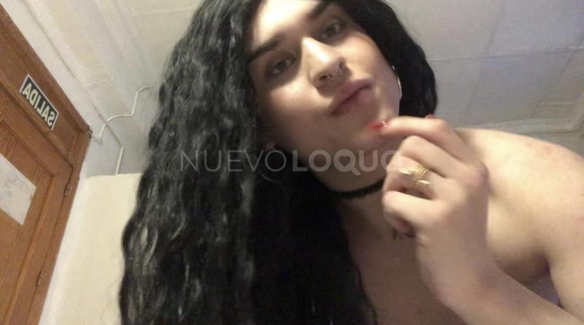 NuevoLoquo1