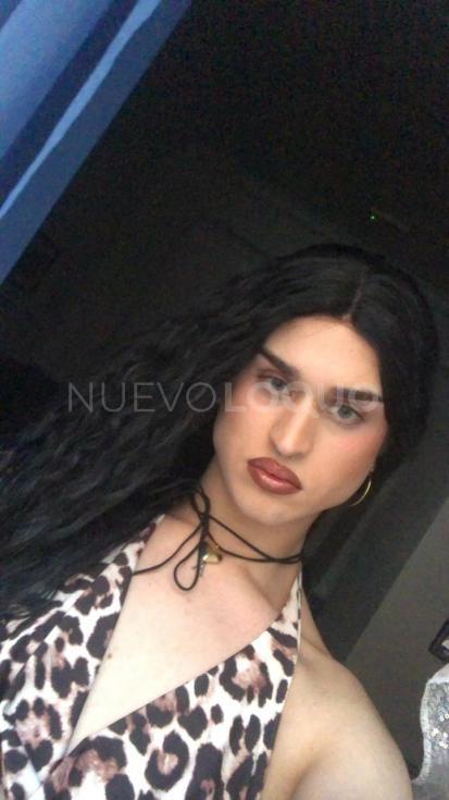 contactos pasion