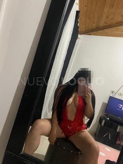 NuevoLoquo3