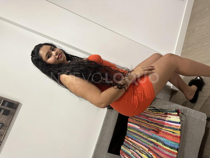 NuevoLoquo3