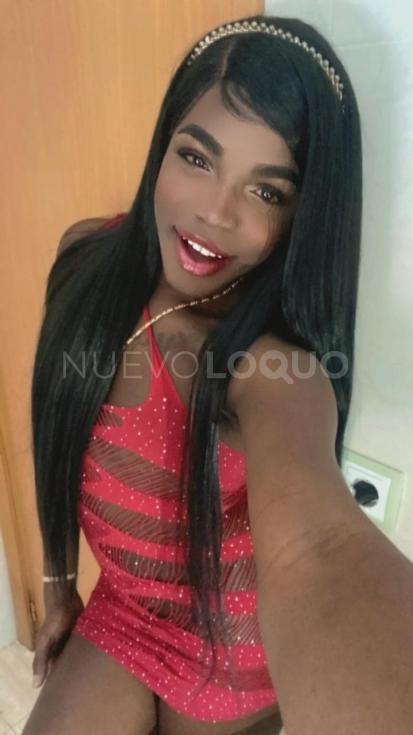 NuevoLoquo3