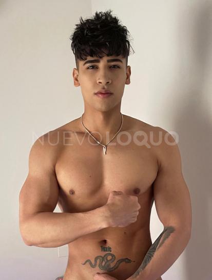 NuevoLoquo2