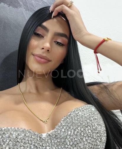 NuevoLoquo3