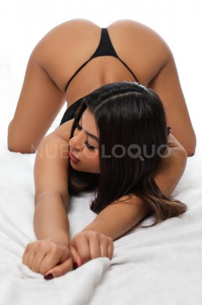 NuevoLoquo1