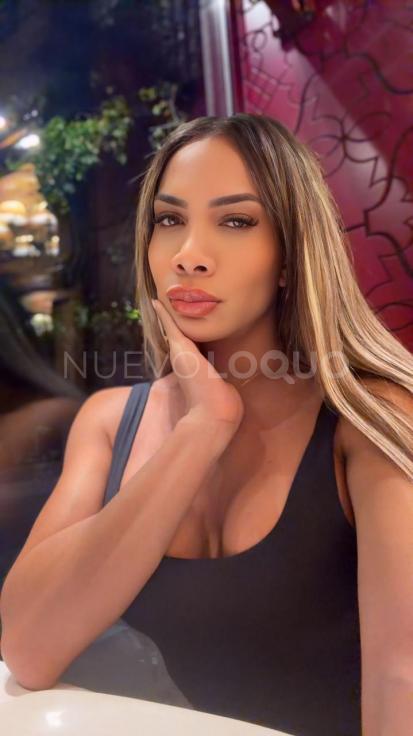 NuevoLoquo3