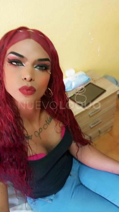 NuevoLoquo2