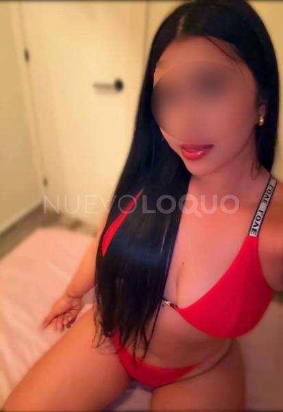  NOVEDAD LATINA DE CURVAS PERFECTAS