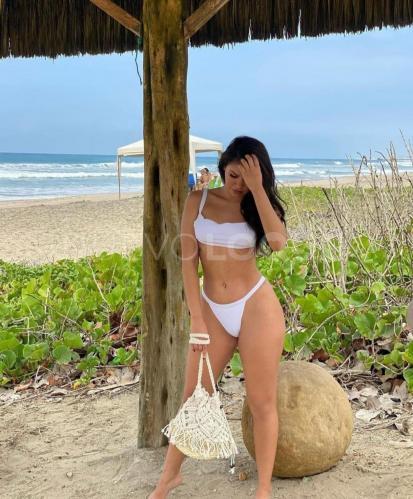 NuevoLoquo4