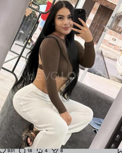 NuevoLoquo3