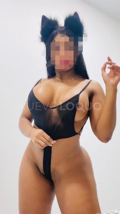 NuevoLoquo2