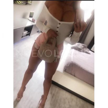 NuevoLoquo2