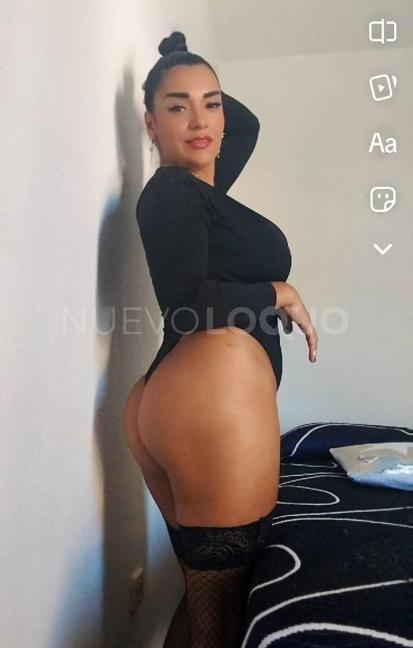 NuevoLoquo3