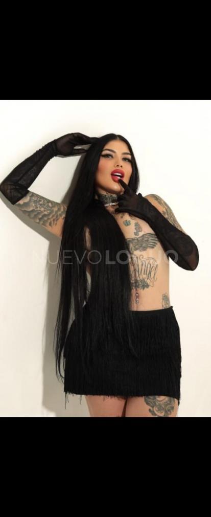 NuevoLoquo4