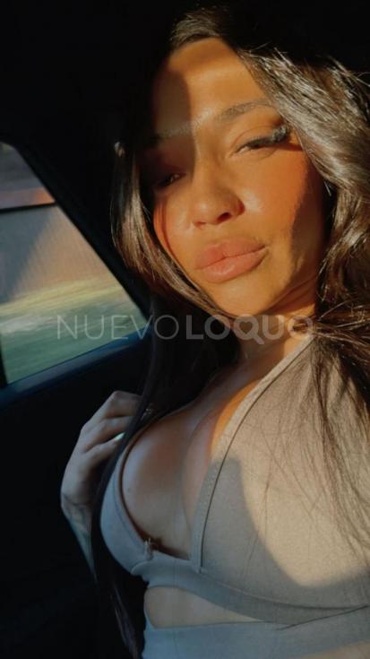 NuevoLoquo2