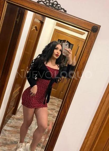 NuevoLoquo2