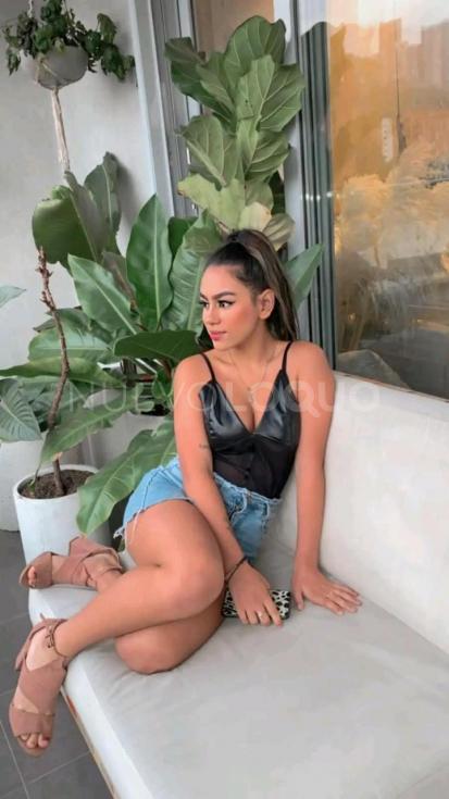 NuevoLoquo2
