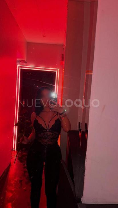 NuevoLoquo1