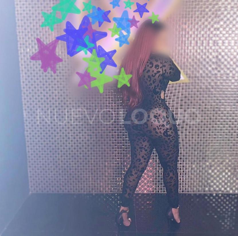NuevoLoquo3
