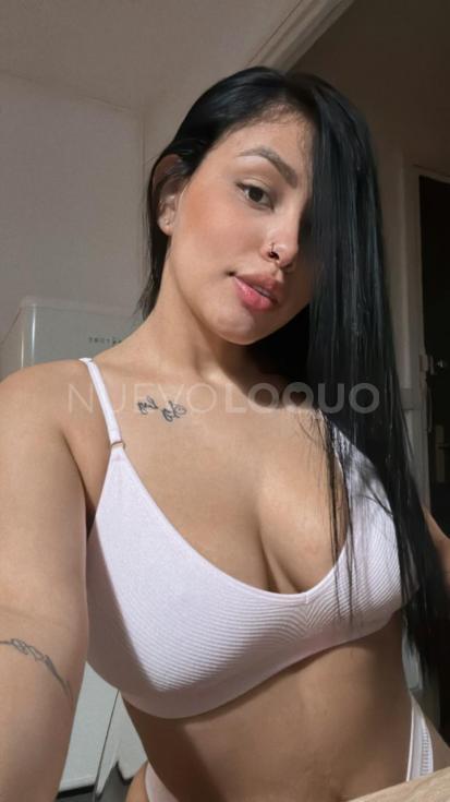 NuevoLoquo3
