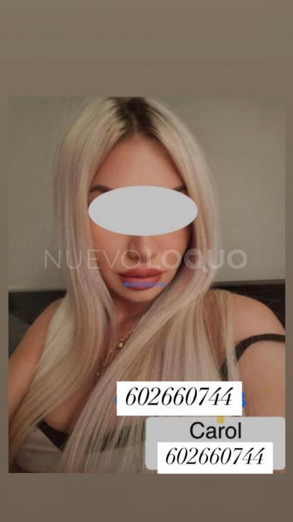 NuevoLoquo1
