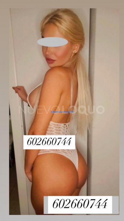 NuevoLoquo3