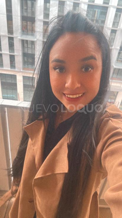 NuevoLoquo2