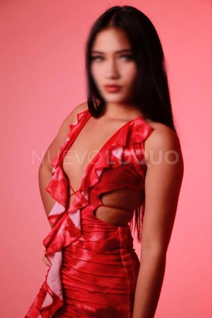 NuevoLoquo4