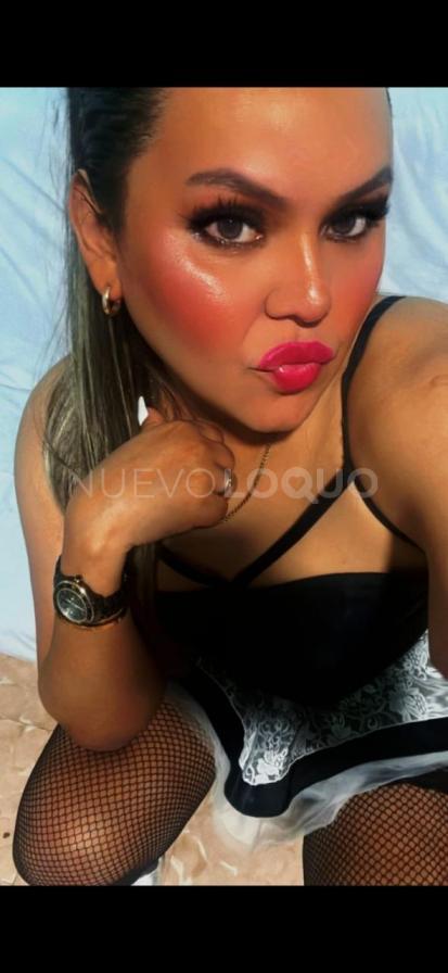 NuevoLoquo2