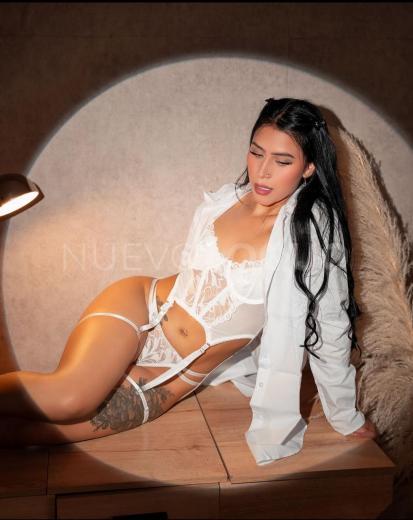 NuevoLoquo3