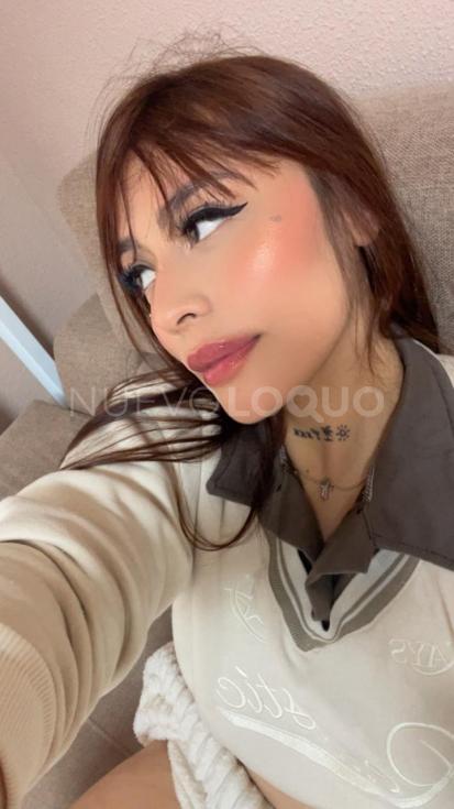NuevoLoquo2