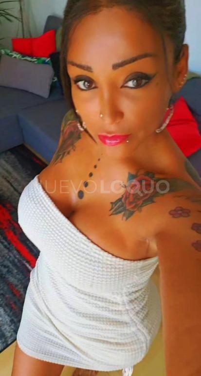 NuevoLoquo4