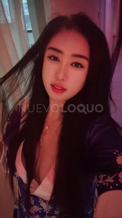 NuevoLoquo2