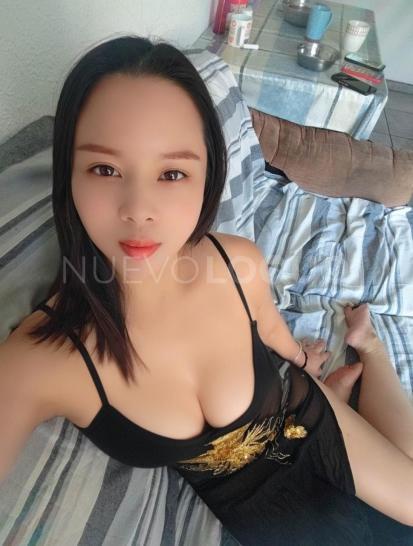 NuevoLoquo3