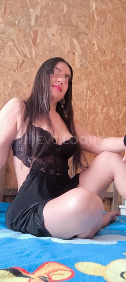 NuevoLoquo3