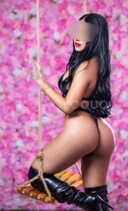 NuevoLoquo1